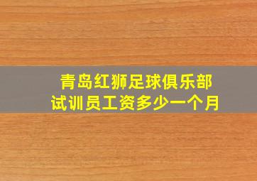 青岛红狮足球俱乐部试训员工资多少一个月