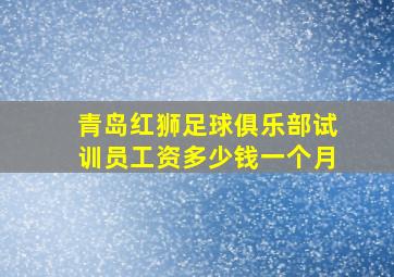 青岛红狮足球俱乐部试训员工资多少钱一个月