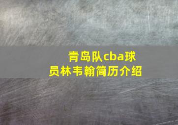 青岛队cba球员林韦翰简历介绍