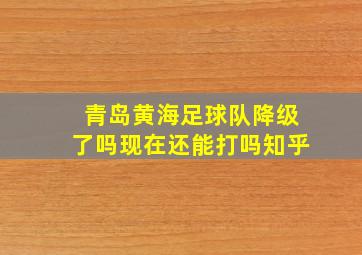 青岛黄海足球队降级了吗现在还能打吗知乎