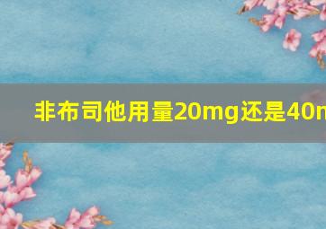 非布司他用量20mg还是40mg