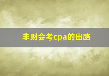 非财会考cpa的出路