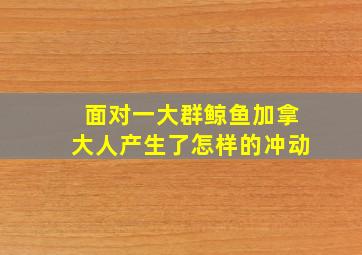 面对一大群鲸鱼加拿大人产生了怎样的冲动