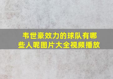 韦世豪效力的球队有哪些人呢图片大全视频播放