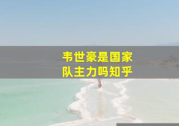 韦世豪是国家队主力吗知乎