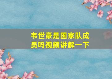 韦世豪是国家队成员吗视频讲解一下