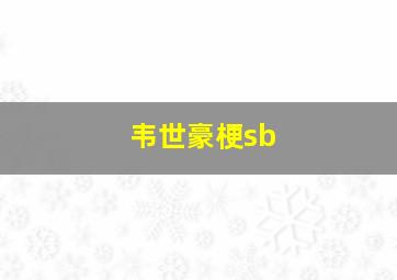 韦世豪梗sb