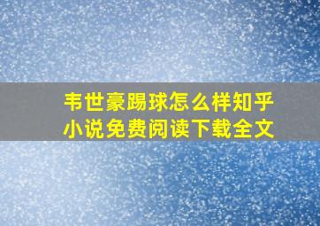 韦世豪踢球怎么样知乎小说免费阅读下载全文