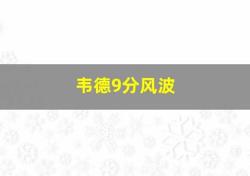 韦德9分风波