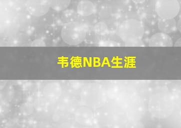 韦德NBA生涯