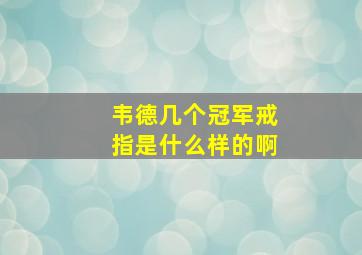 韦德几个冠军戒指是什么样的啊