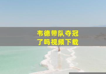 韦德带队夺冠了吗视频下载