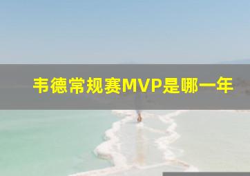 韦德常规赛MVP是哪一年