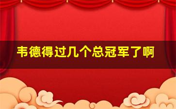 韦德得过几个总冠军了啊