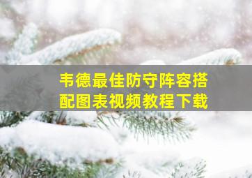 韦德最佳防守阵容搭配图表视频教程下载