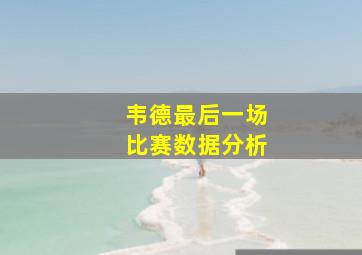 韦德最后一场比赛数据分析