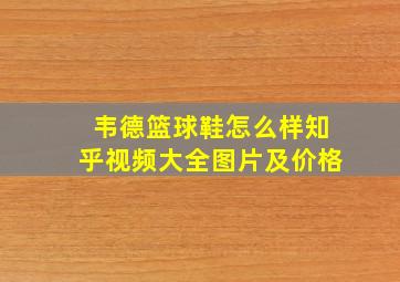 韦德篮球鞋怎么样知乎视频大全图片及价格