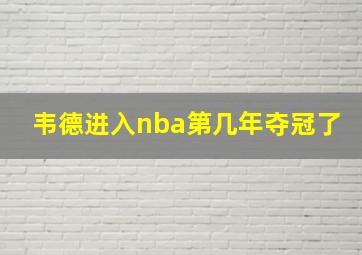 韦德进入nba第几年夺冠了