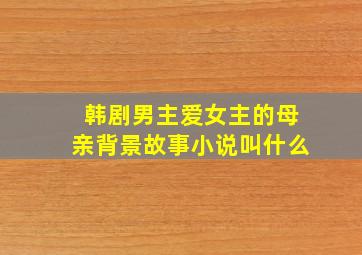 韩剧男主爱女主的母亲背景故事小说叫什么