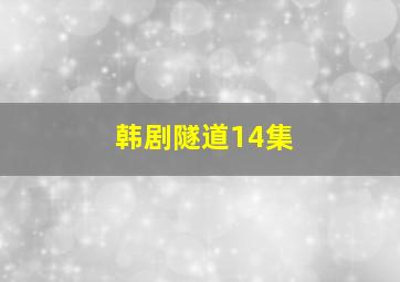 韩剧隧道14集