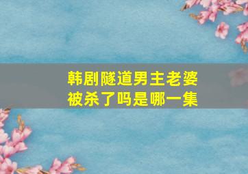 韩剧隧道男主老婆被杀了吗是哪一集