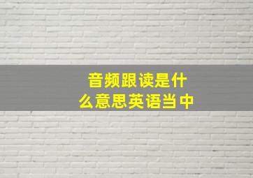 音频跟读是什么意思英语当中