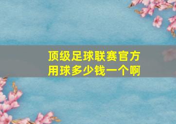 顶级足球联赛官方用球多少钱一个啊