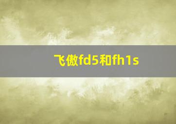 飞傲fd5和fh1s