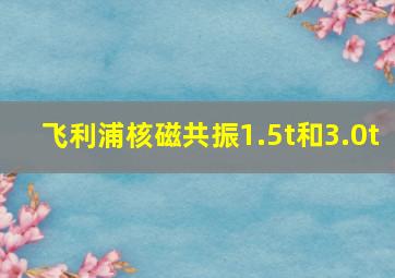 飞利浦核磁共振1.5t和3.0t