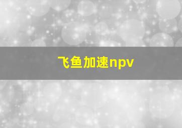 飞鱼加速npv