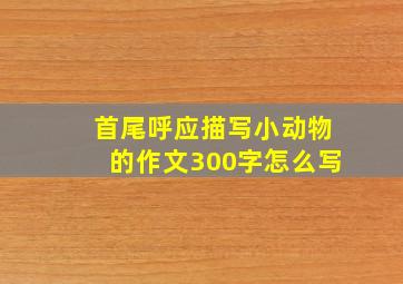 首尾呼应描写小动物的作文300字怎么写