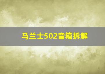 马兰士502音箱拆解