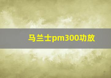 马兰士pm300功放