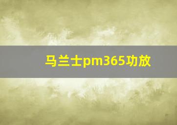 马兰士pm365功放