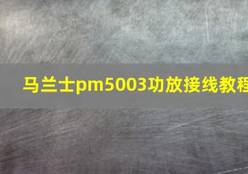 马兰士pm5003功放接线教程