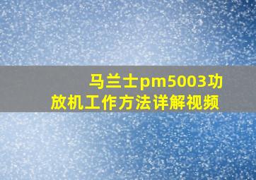 马兰士pm5003功放机工作方法详解视频