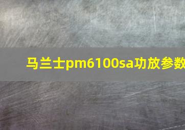 马兰士pm6100sa功放参数