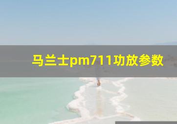 马兰士pm711功放参数