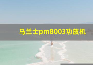 马兰士pm8003功放机