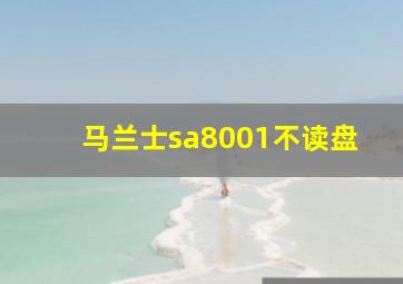 马兰士sa8001不读盘