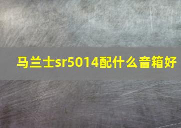 马兰士sr5014配什么音箱好