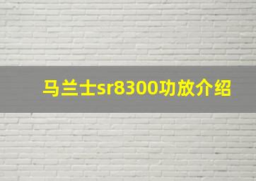 马兰士sr8300功放介绍