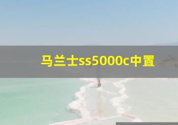 马兰士ss5000c中置