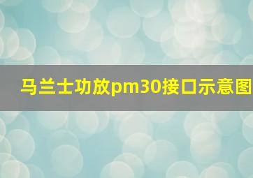 马兰士功放pm30接口示意图