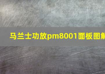 马兰士功放pm8001面板图解