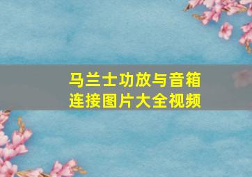 马兰士功放与音箱连接图片大全视频