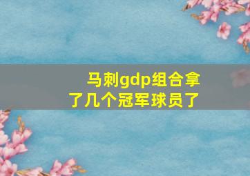 马刺gdp组合拿了几个冠军球员了