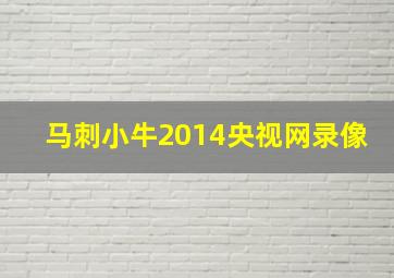 马刺小牛2014央视网录像