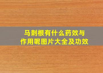 马刺根有什么药效与作用呢图片大全及功效