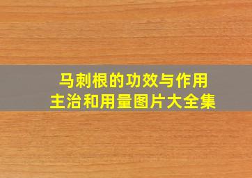 马刺根的功效与作用主治和用量图片大全集